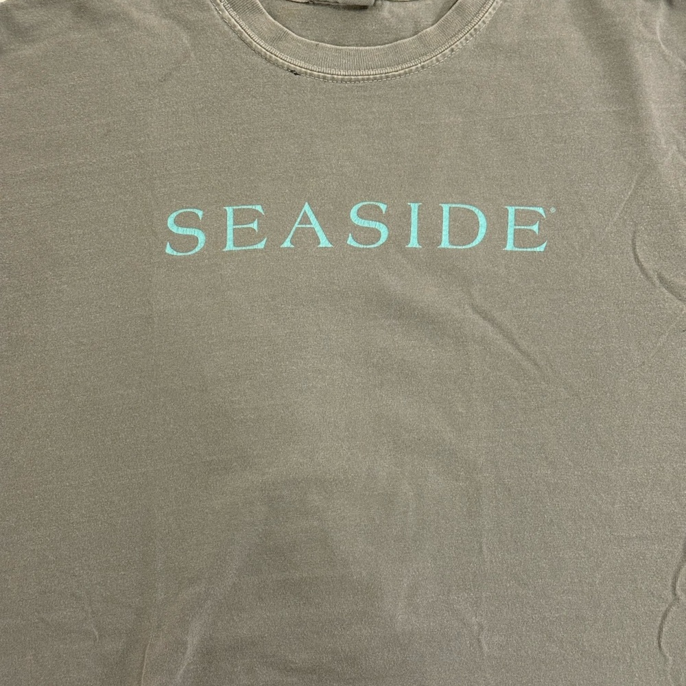 Comfort Colors Seaside Graphic Tee in Gray